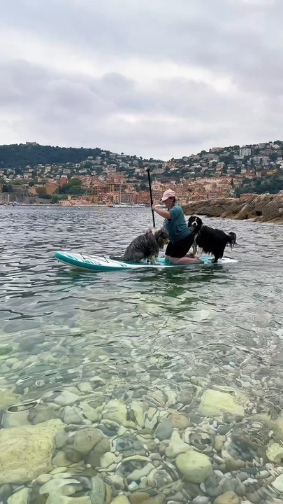 Avez-vous déjà fait du paddle avec votre chien ? 