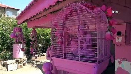 “Çocuklarıma vasiyetim, mezar taşım pespembe olsun” (1)