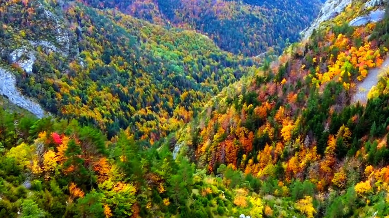 Âm nhạc thư giãn trị liệu với cảnh đẹp nhân gian - Không gian cổ trang tĩnh lặng chữa lành mọi cảm xúc