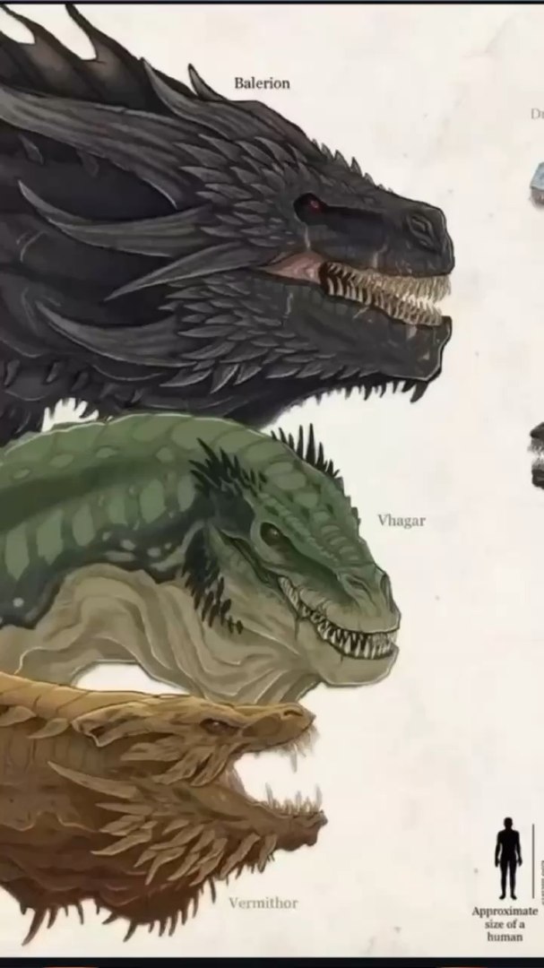 La taille des Dragons de House of the Dragon