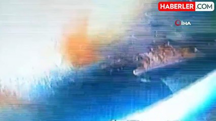 Endoskop kamerayla kurtarılan yavru kedi sağlığına kavuştu