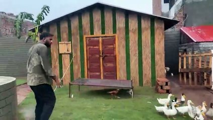 Fish Well Over Flow HogeaBht Taiz Barish Ai