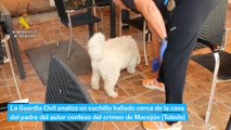 La Guardia Civil encuentra un cuchillo cerca de la casa del padre del autor confeso del crimen de Mocejón