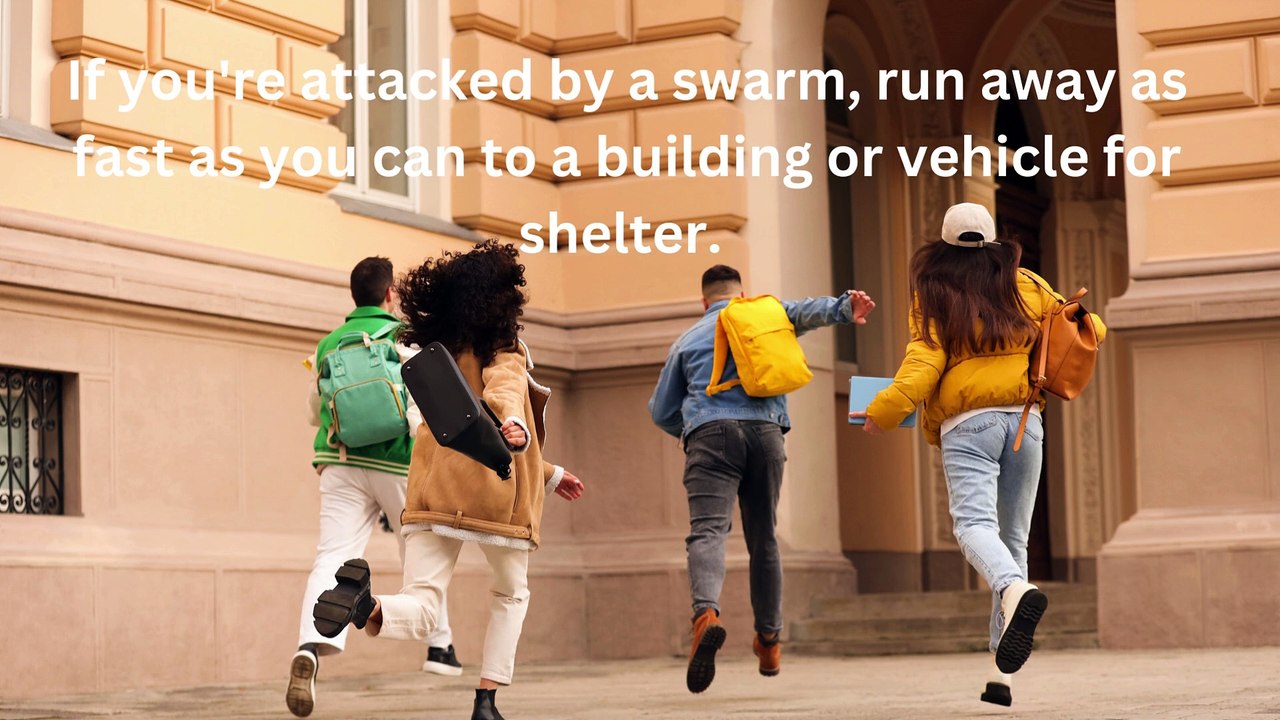 What to do if you’re attacked by wasps