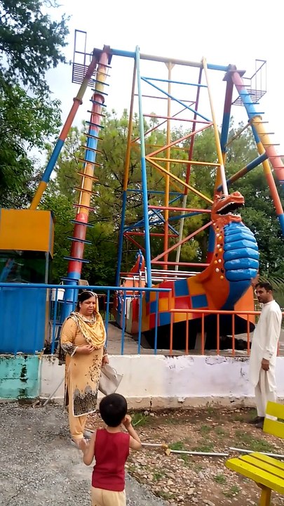 Dragon Swings