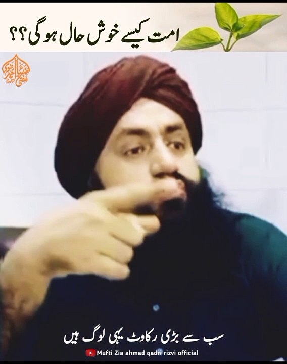 VID-20240820-WA0041
