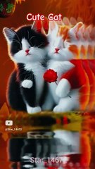 cute cat #shorts #viralshorts @Star_14672 #0045