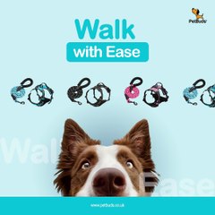 Adjustable No Pull Dog Harness  Padded Protection  With Free 5ft  Heavy Duty Dog Leash  Best Dog Harness UK