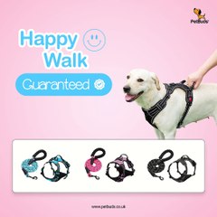 Adjustable No Pull Dog Harness  Padded Protection With Free 5ft Heavy Duty Dog Leash  Best Dog Harness UK