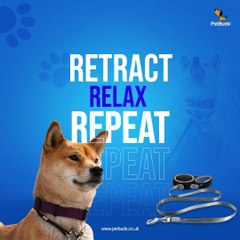 Automatic Retractable Dog  Leash  Smart Design,  Chew-Resistant,  Heavy Duty Retractable Dog Leash UK