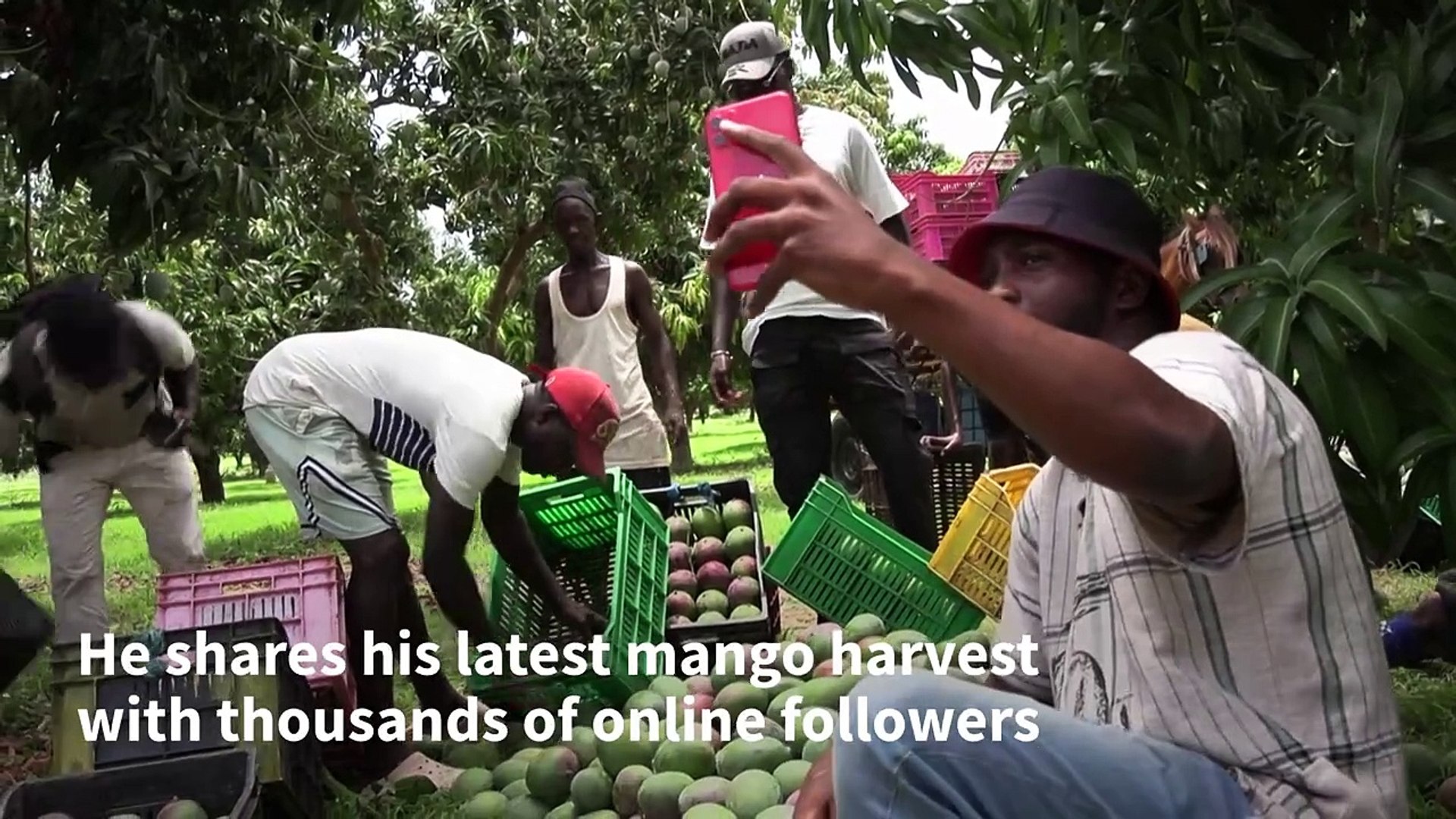 ⁣Senegal 'agri-influencers' embrace social media to help boost sales