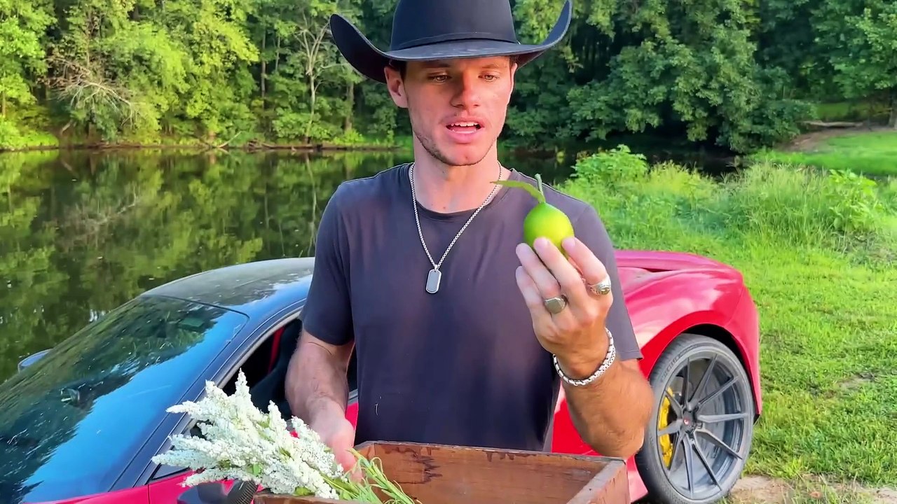 WTF Ferrari Durability Test #1 #fuck #ferrari #tested #following #dailymotion