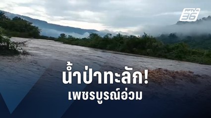 น้ำป่าทะลัก เพชรบูรณ์อ่วม! | PPTV Online