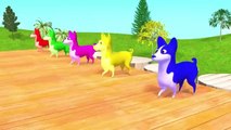Colour ful toys video