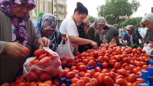 Domates üreticilerinin eylemleri sürerken: Edirne’de vatandaşlar ucuz domatese akın etti