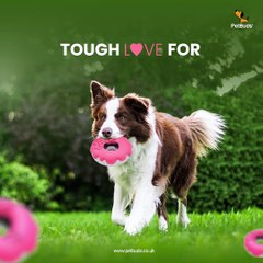 Indestructible  Dog Toys Doughnut Shape  Donut Dog Toy UK