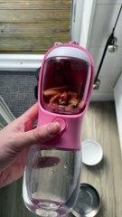 Leak Proof Dog Water Bottle With Portable Food & Poop Bag Dispenser