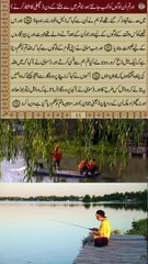 translations of Surah Al-Baqarah, verses 65 and 66 in