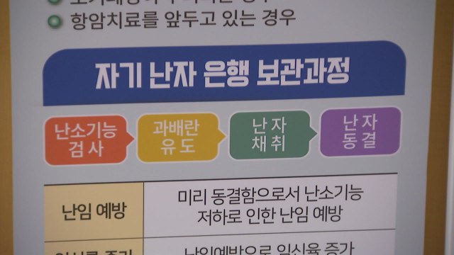 [경기] 난자·정자 동결 시술비 최대 200만 원 지원 추진 / YTN