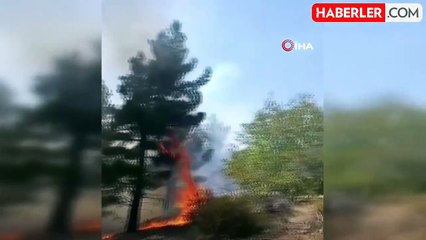 Mut'ta orman yangını büyümeden söndürüldü