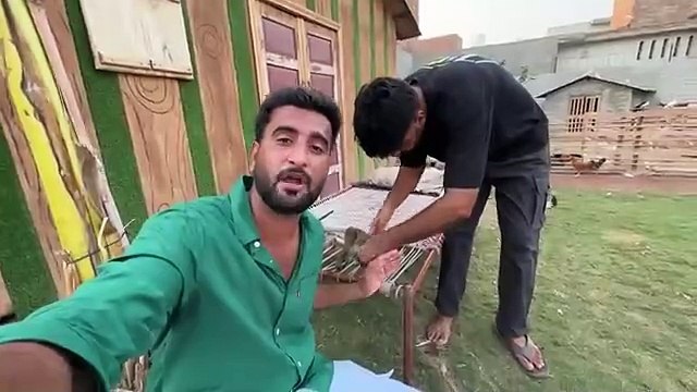 shehar mein dehat ep 30 2024 animal mini zoo Hiran Ka Ultrasound Kraya AjGood News Or Bad News.