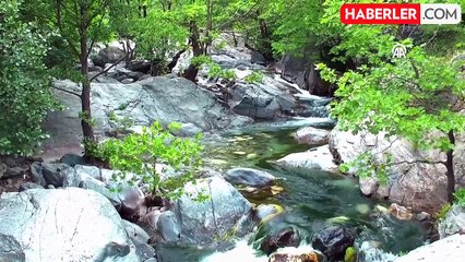 Kazdağları Milli Parkı'na girişler geçici olarak durduruldu