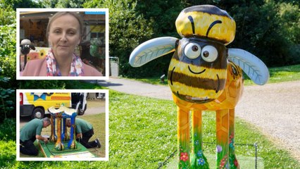 Maidstone says goodbye as  Shaun the sheep art trail enters it's final week
