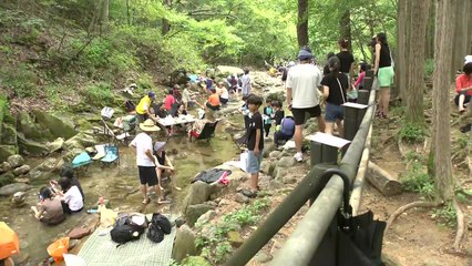 [날씨] 푹푹 찌는 주말...시원한 도심 속 계곡 피서객 절정 / YTN