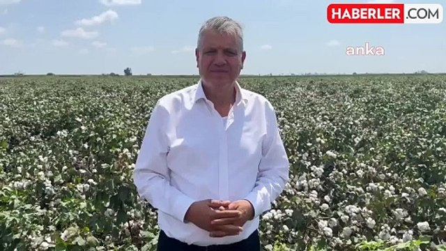 CHP Milletvekili Ayhan Barut'tan pamuk üreticilerine çağrı