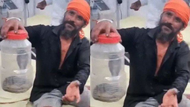 Video Viral: कोबरा ने काटा तो डिब्बे में किया बंद, डॉक्टर को बोला-इसी ने काटा, बचा लीजिए