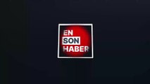 Atın dugularıyla oynayan kadın