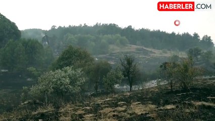 Gerede'de çıkan orman yangını yerleşim bölgesini tehdit ediyor