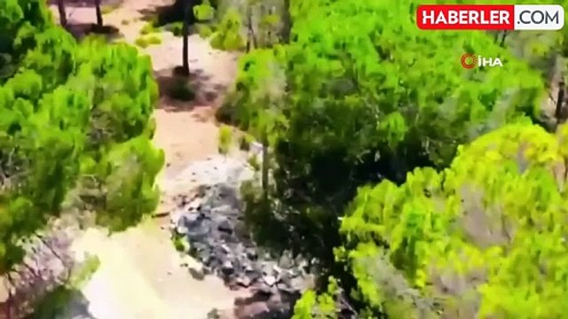 Jandarma, orman yangınlarına karşı vatandaşları bilgilendirdi