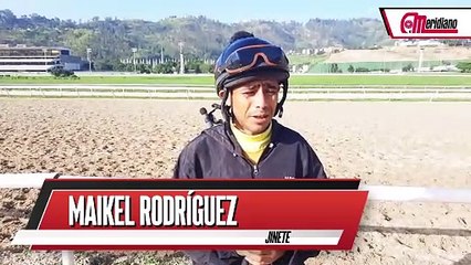 Conoce a Maikel Rodríguez: Joven Talento del Hipismo 🐴