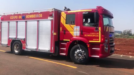 Cobra sai do mato e assusta moradores na Rua das Orquídeas