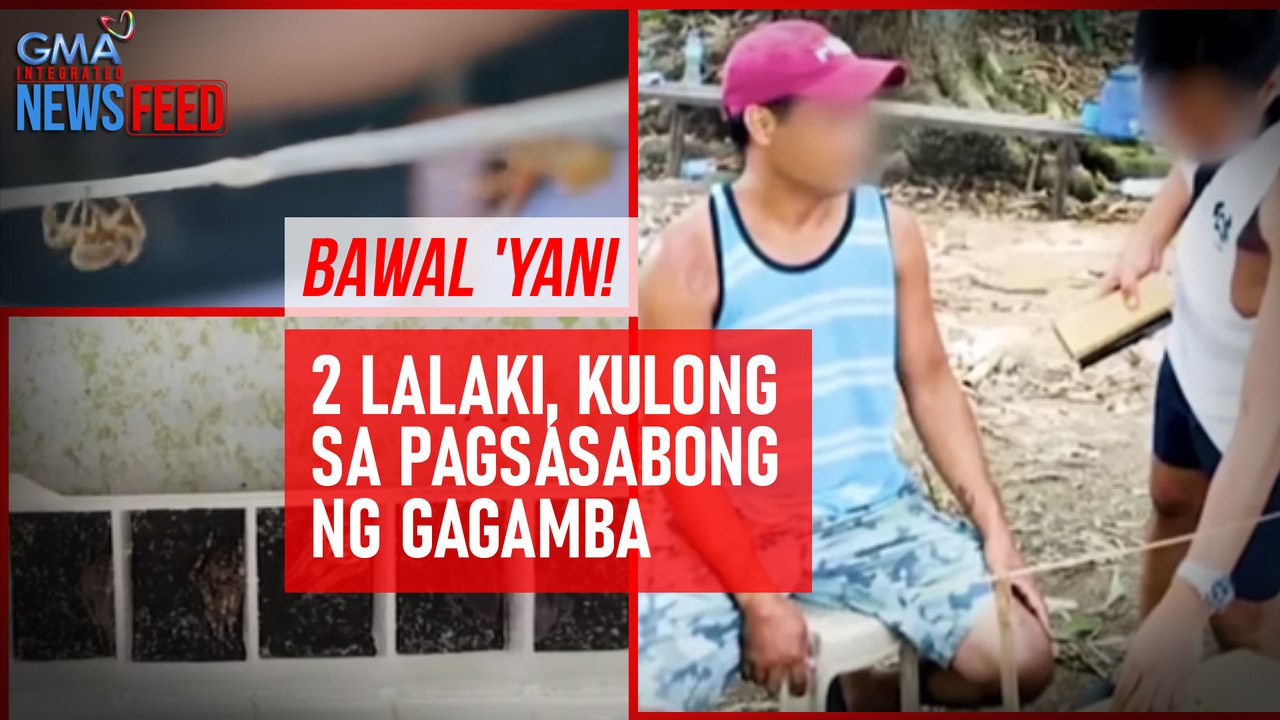 Bawal 'yan! 2 lalaki, kulong sa pagsasabong ng gagamba | GMA Integrated Newsfeed