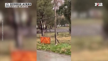 Ciclogénesis en Buenos Aires:  Nieva en Bahía Blanca y Sierra de la Ventana