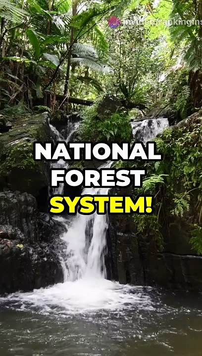 Top 10 facts about Puerto Rico!