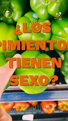 Download Video: ¿Hay pimientos hembras y machos?