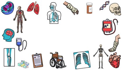 Understanding The Digestive System: A Paramedic Perspective