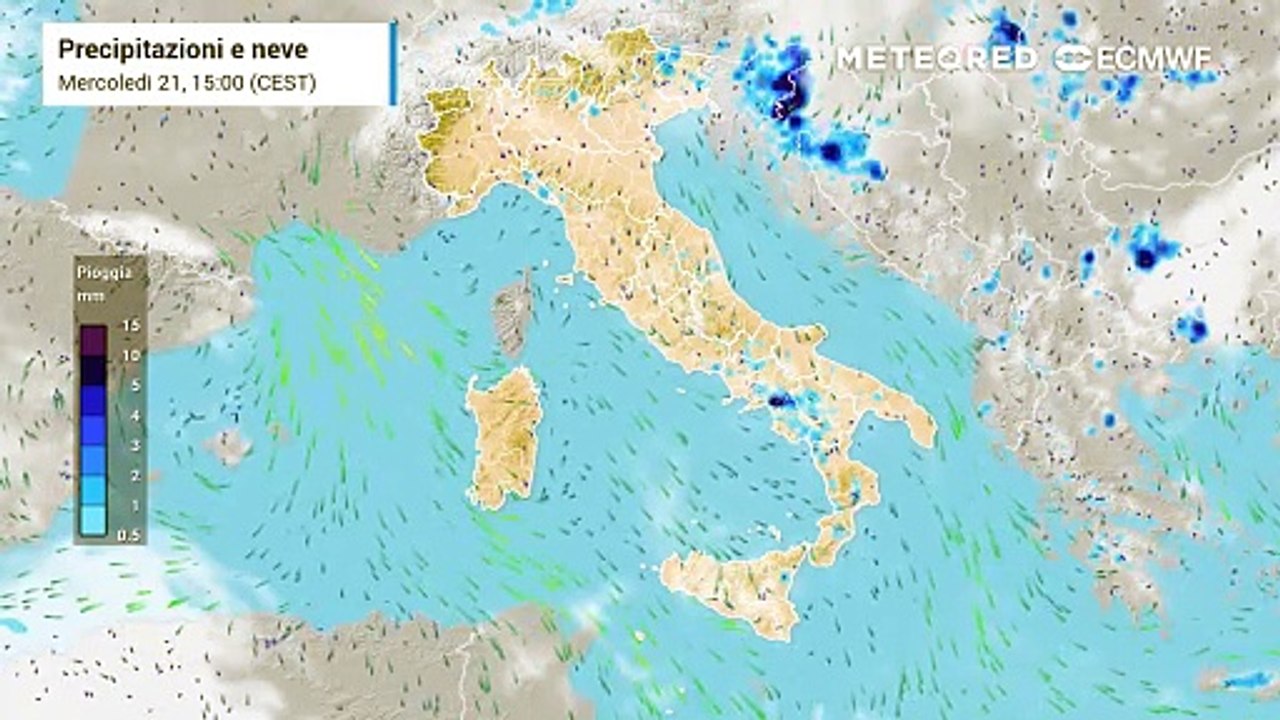 Mappa delle precipitazioni