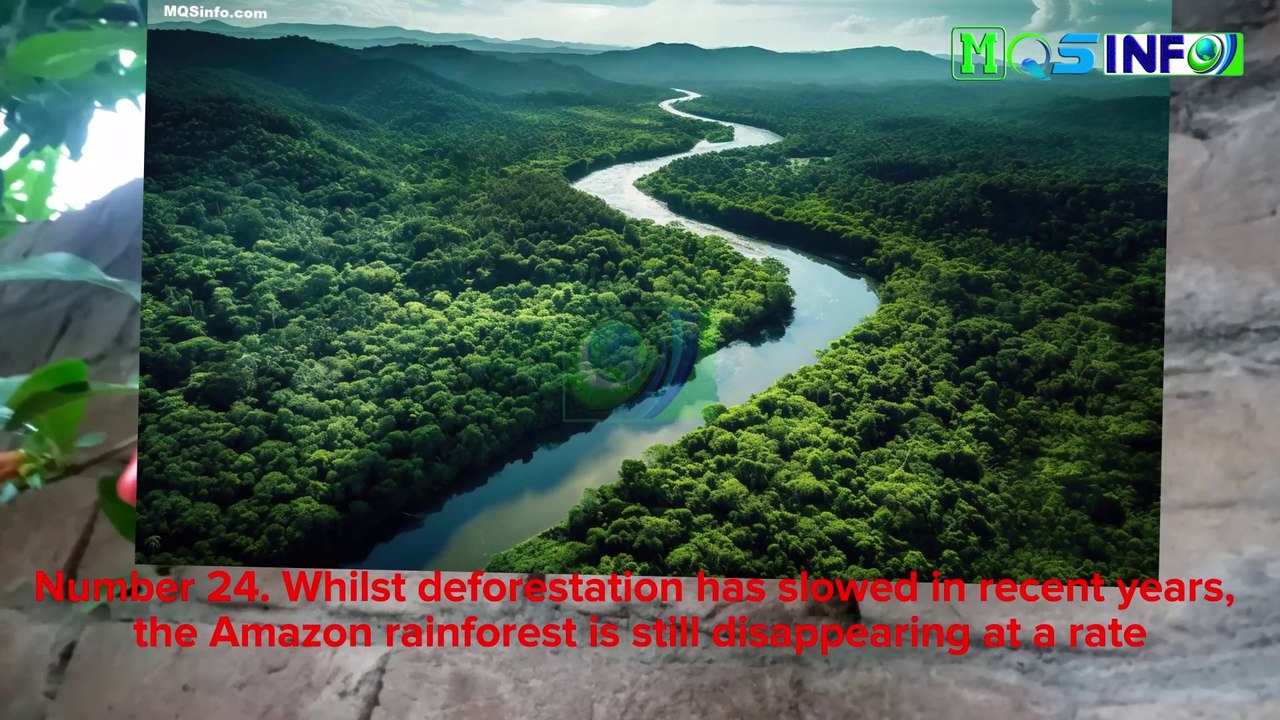 Mind Blowing Facts About The Amazon Rainforest - Did You Know -MQS info #facts #didyouknow