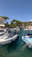 LE PORT de Jelsa en Croatie