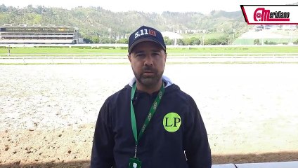 Hipismo: Luis Peraza, Entrenador.