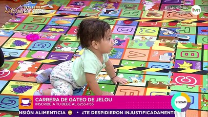 Carrera de gateo Jelou! 21 de agosto