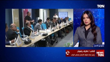 طارق رضوان  يعلق على قرار الرئيس السيسي بإحالة توصيات الحبس الاحتياطي للحكومة