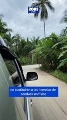 Te contamos todos los beneficios que traerá la licencia de conducir digital en Illinois