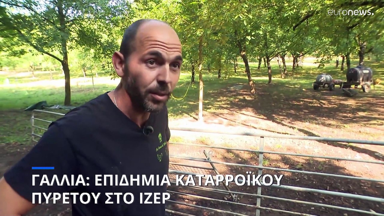 Γαλλία: Επιδημία καταρροϊκού πυρετού - Σε απόγνωση οι κτηνοτρόφοι