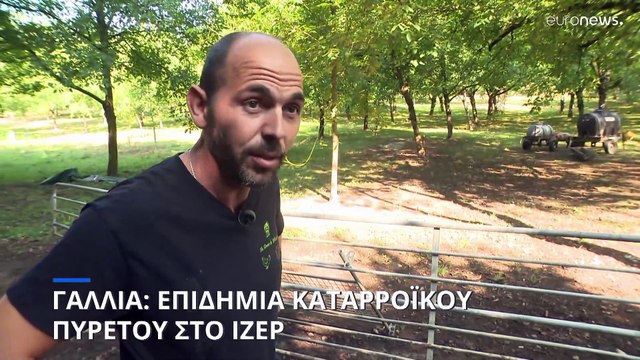 Γαλλία: Επιδημία καταρροϊκού πυρετού - Σε απόγνωση οι κτηνοτρόφοι