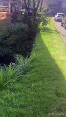 VÍDEO: Corpo é encontrado em córrego no Imbuí; policiais investigam homicídio